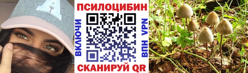 Псилоцибиновые грибы Psilocybe мега Задонск